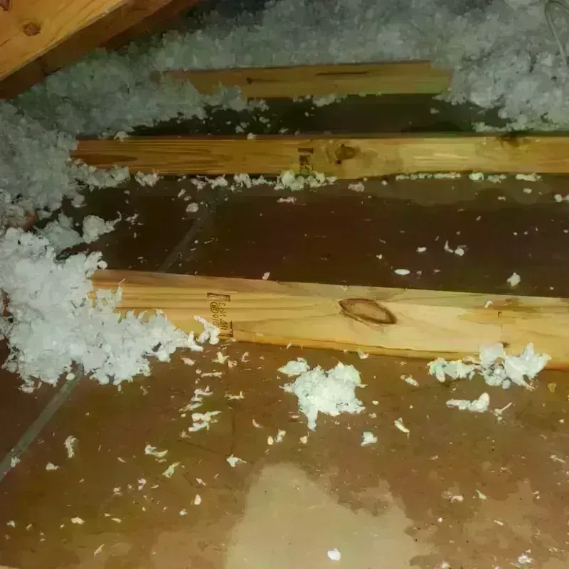 Attic Water Damage in Dighton, KS